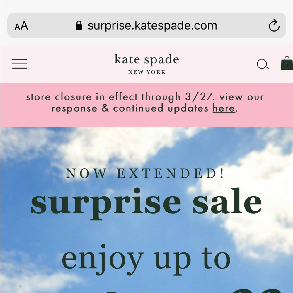 Surprise Kate Spade sale online!!!!!!